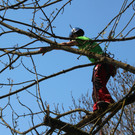 IMG_2833.JPG