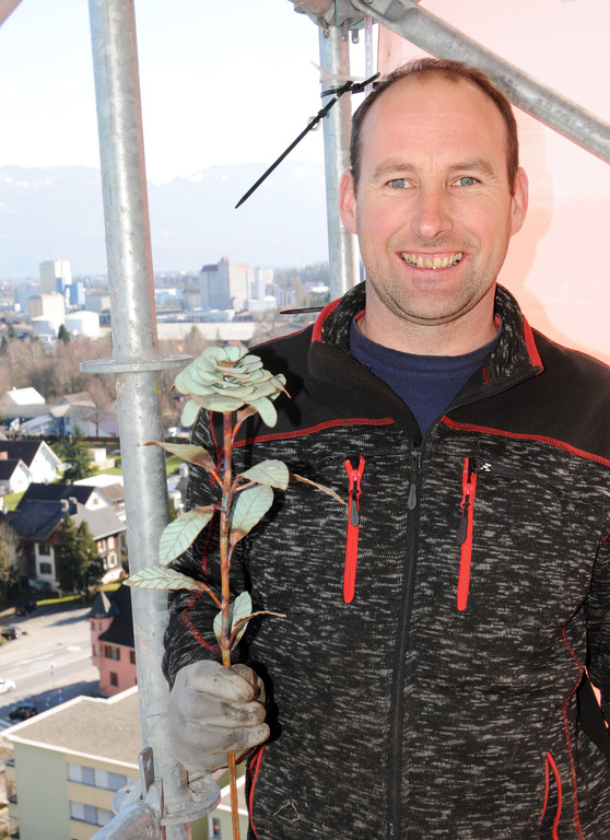 Ronny Stibane _ Rose 14.jpg