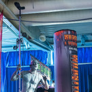 Wildstyle und Tattoomesse _223_.JPG