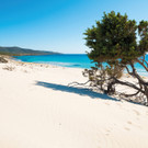 Porto Pino 2.jpg