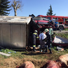 28 Schweine bei Lkw-Unfall in Steiermark getötet