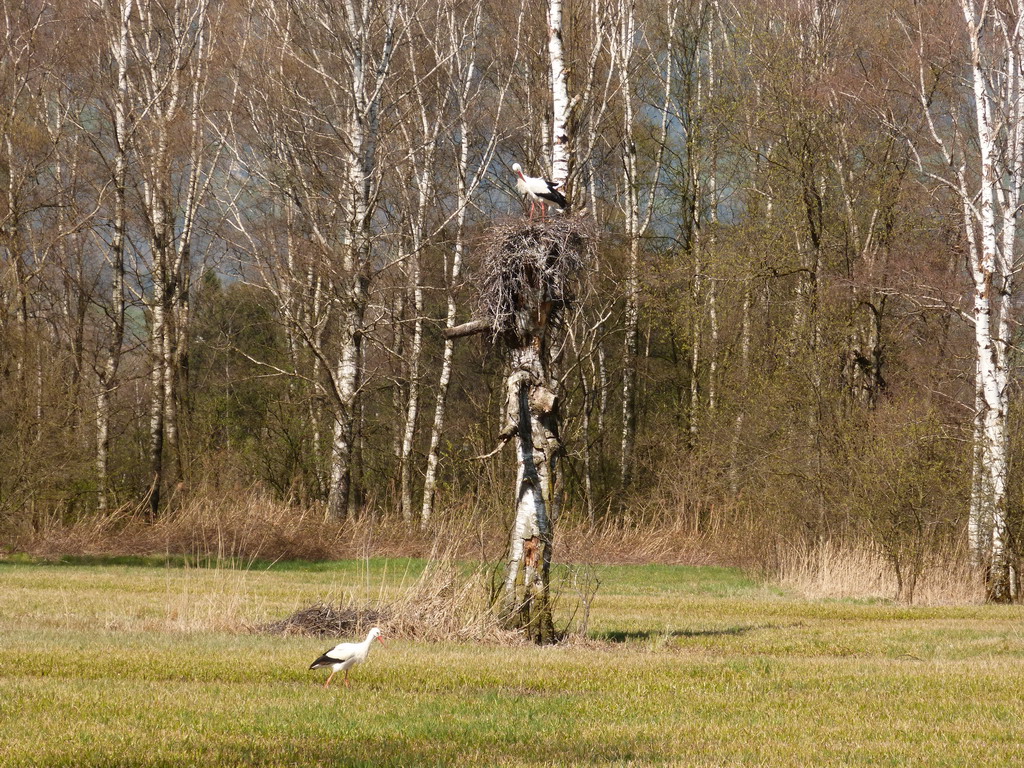 radeln April 18  02 1.jpg