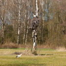 radeln April 18  02 1.jpg