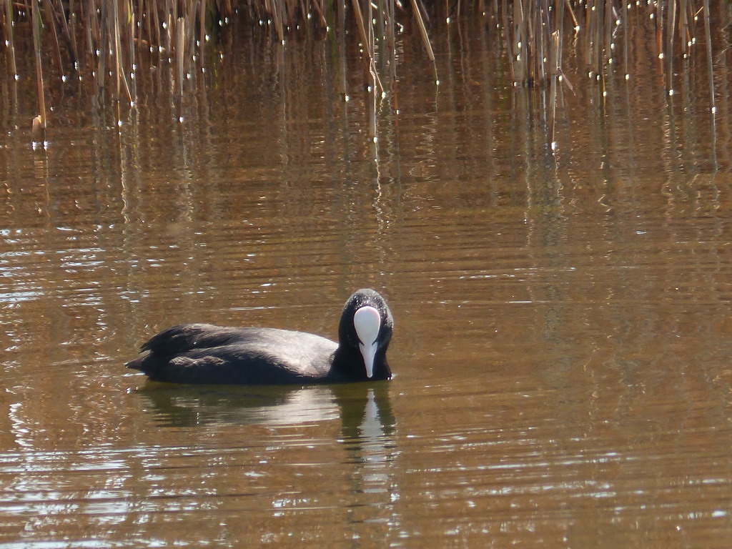 radeln April 18  03 1.jpg