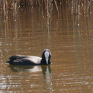 radeln April 18  03 1.jpg