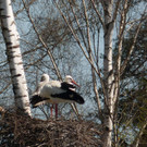 radeln April 18  12.jpg