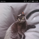 Screenshot_20180419-133028.png
