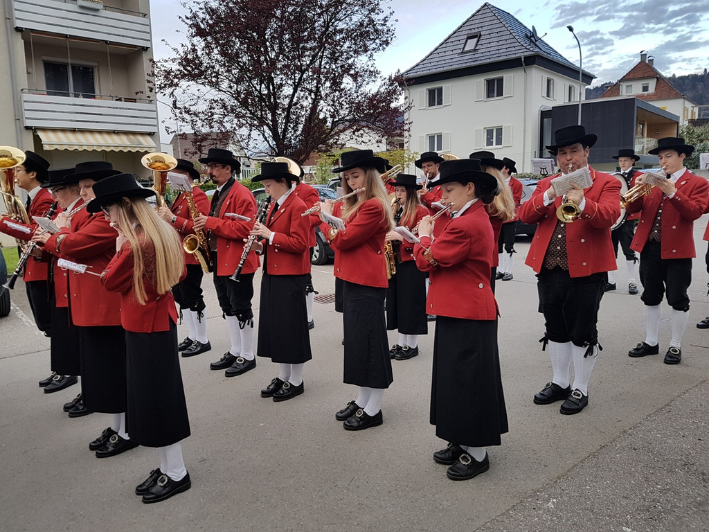 Musikverein MAIBLASEN Symbolfoto Mai 2018 _3_.jpg