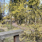 Frutzwanderung