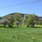 DSC_0002.JPG