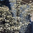 DSC_0003.JPG