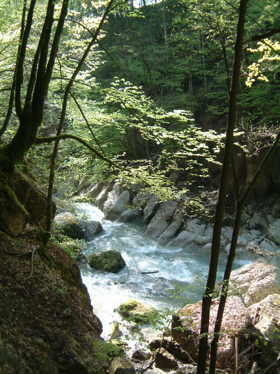 20030502 Engenloch_c_UMG.jpg