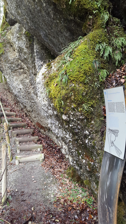 20150403_162141.jpg