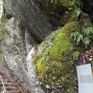 20150403_162141.jpg