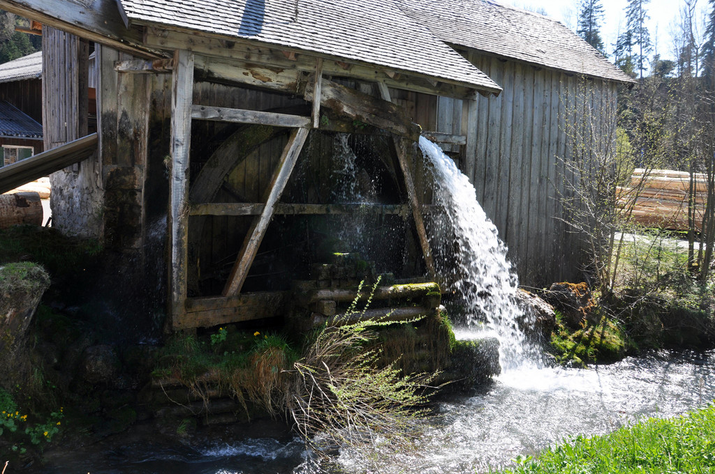 DSC_0132.JPG