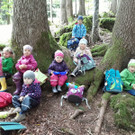 Wald- und Wiesengruppe