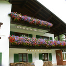 Silbertal D__nz G1.JPG