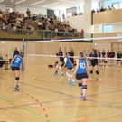 IMG_7446.jpg