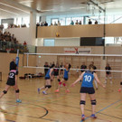 IMG_7453.jpg