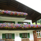 Silbertal D__nz G2.JPG