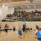 IMG_7484.jpg