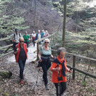 Gruppe unterwegs3.jpg
