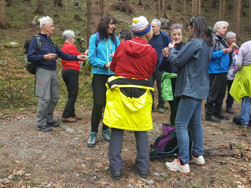 20180404_101741_bearbeitet-1.jpg