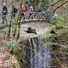 20180404_103635_bearbeitet-1.jpg