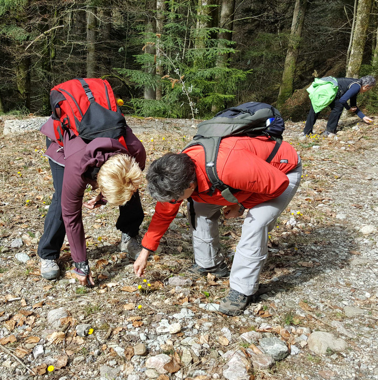20180404_105645_001_bearbeitet-1.jpg