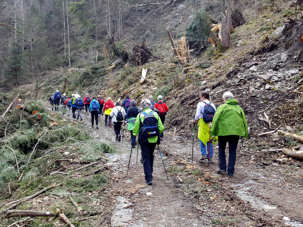 20180404_110606_bearbeitet-1.jpg