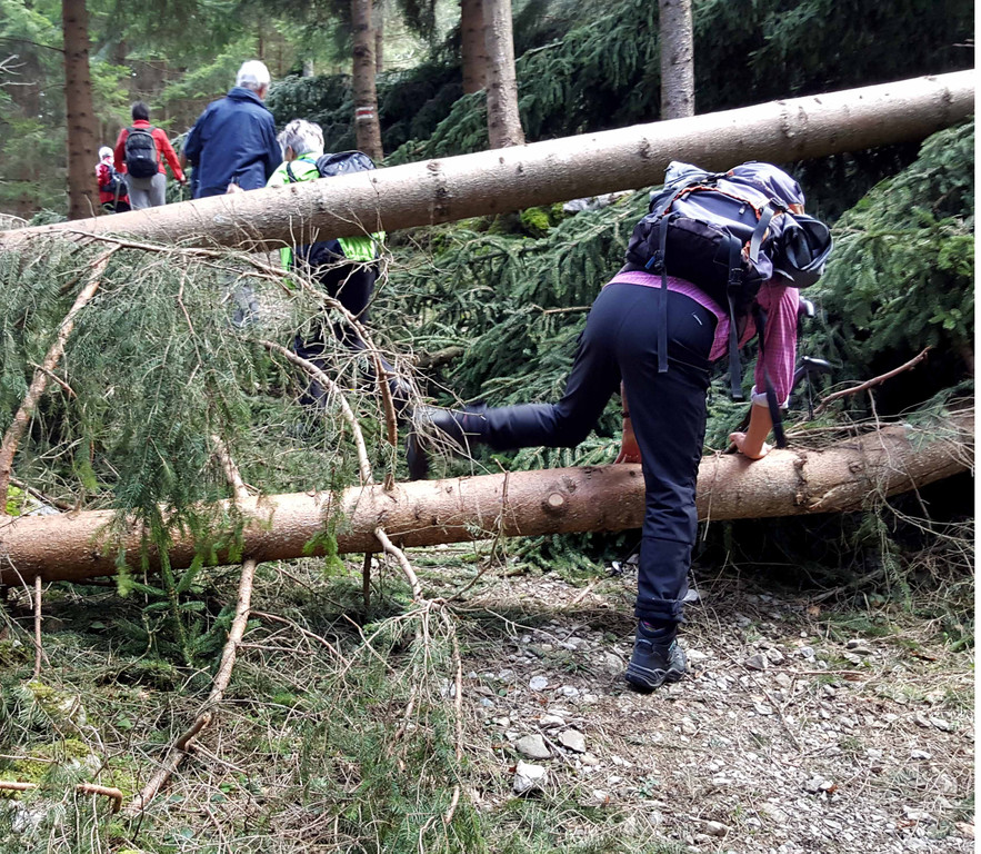 20180404_112823_bearbeitet-1.jpg