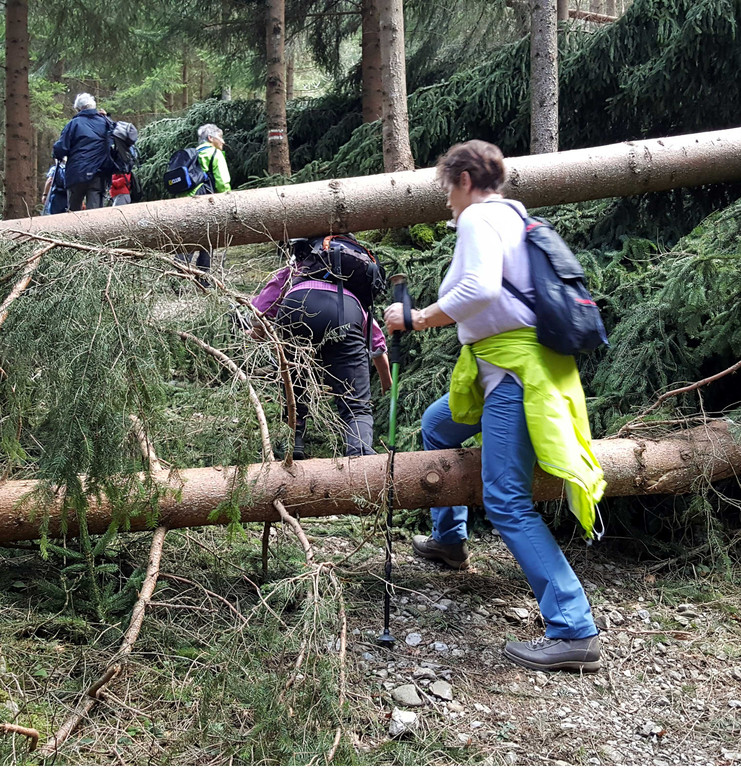 20180404_112831_bearbeitet-1.jpg