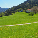 P4218088.JPG