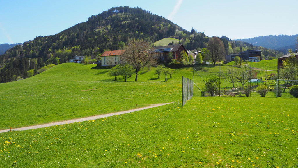 P4218091.JPG