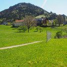P4218091.JPG