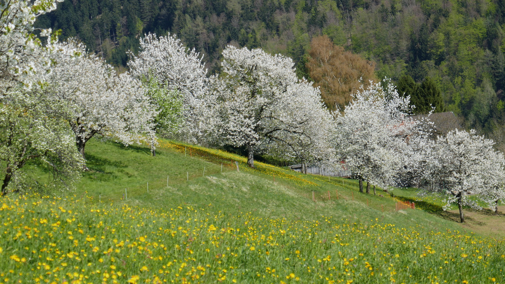 P1050419.JPG