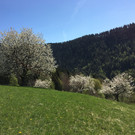 IMG_4052.JPG