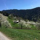 IMG_4068.JPG