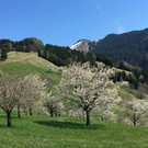 IMG_4077.JPG
