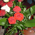 1007169.jpg