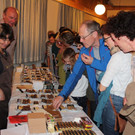 IMG_3504_jiw.jpg