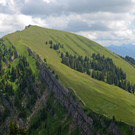 10 Jahre Naturpark Nagelfluhkette