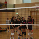IMG_7448.jpg