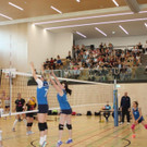 IMG_7485.jpg