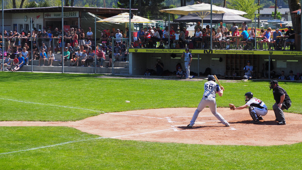P4218233.JPG