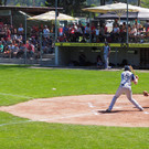 P4218233.JPG