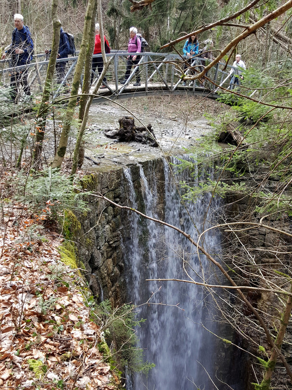 20180404_103635.jpg