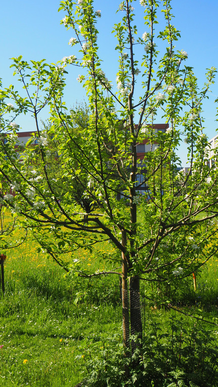 P4218021.JPG