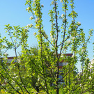 P4218021.JPG