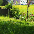 P4218037.JPG